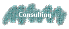 Consulting