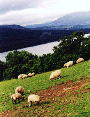 Loch Tay